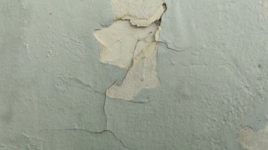 Duvar boyası dökülüyor çünkü duvar nemli.