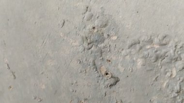 Duvar boyası dökülüyor çünkü duvar nemli.