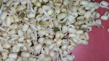 Kırmızı plastik bir kabın içindeki deriden temizlenmemiş fasulye filizi yığını. Fasulye filizleri besin açısından zengindir ve birçok sağlık faydaları vardır.