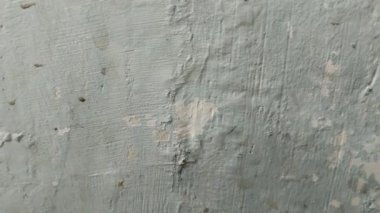 Duvar boyası dökülüyor çünkü duvar nemli.