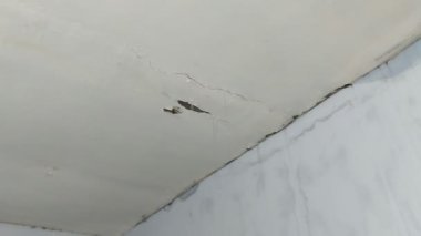 Sızdıran bir tavandan akan su.