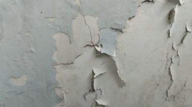 Duvar boyası dökülüyor çünkü duvar nemli.