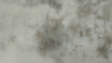 Evin duvarlarında büyüyen siyah küf rutubetli duvarlardan kaynaklanıyor.