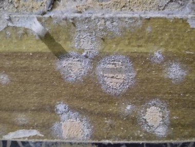 Küflü tahta. Küfün nedeni, düşük ışık ve yüksek hava seviyeli oda koşullarının kalıbın büyümesini tetiklemesidir. Bu mantarın büyümesi özellikle ahşap mobilyalarda gerçekleşebilir..