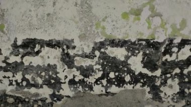 Duvar boyası dökülüyor çünkü duvar nemli.