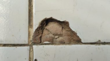 Seramik zemin hasar görmüş ve delikleri var.