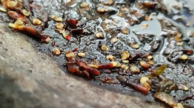 Soya sosu ya da havan topu üzerinde sambel kap. Soya sosu veya sambel kap Endonezya 'da çok meşhurdur.