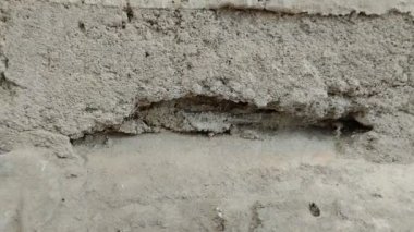 Gözenekli ev duvarları. Gözenekli duvarların nedeni maddenin kalitesinden kaynaklanıyor.