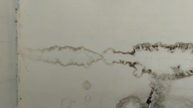 Evin tavanı siyah küflenmeye başladı. Buna nem neden oluyor..