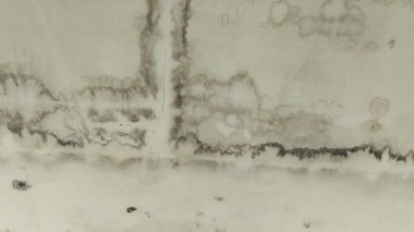 Evin tavanı siyah küflenmeye başladı. Buna nem neden oluyor..