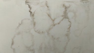 Evin tavanı siyah küflenmeye başladı. Buna nem neden oluyor..