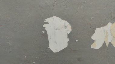 Duvar boyası dökülüyor çünkü duvar nemli.