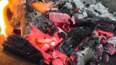 kömür külle yanıyor. Yanmış odun külleri bitkiler için yararlı olabilir çünkü bitkilerin büyümesi için gerekli besinleri içerir..