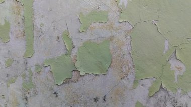 Duvar boyası dökülüyor çünkü duvar nemli.