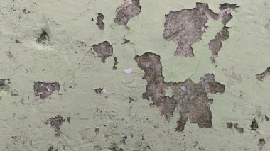 Duvar boyası dökülüyor çünkü duvar nemli.