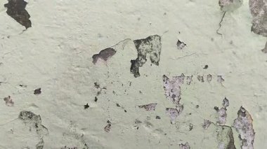 Duvar boyası dökülüyor çünkü duvar nemli.