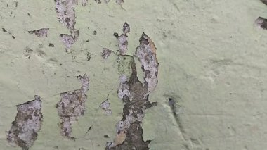 Duvar boyası dökülüyor çünkü duvar nemli.