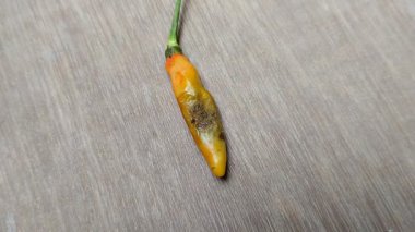 Ahşap arkaplanda çürük biber