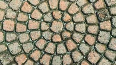 Bahçe yolundaki yuvarlak şekilli asfalt yolun estetiğine katkı sağlar.