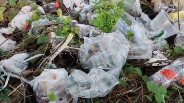 Surabaya, Endonezya - 25 Mayıs 2025: Plastik atık dikkatsizce doğaya atılır. Plastik kirliliği kavramı