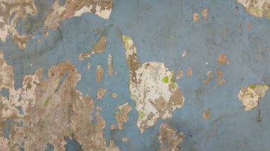 Duvar boyası dökülüyor çünkü duvar nemli.