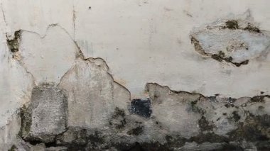 Duvar boyası dökülüyor çünkü duvar nemli.