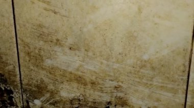 Sarı banyo zemininde. Banyo zeminindeki sarı lekeler çoğunlukla su ile tepkimeye giren sabun, şampuan veya deterjan kalıntılarından kaynaklanır. Özellikle demir açısından zengin olan sert su..