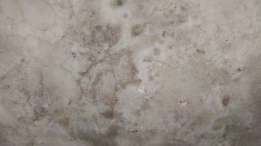 Yağmur suyu sızıntısı nedeniyle evin duvarları nemli.