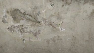 Yağmur suyu sızıntısı nedeniyle evin duvarları nemli.