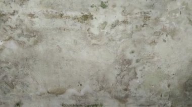 Yağmur suyu sızıntısı nedeniyle evin duvarları nemli.