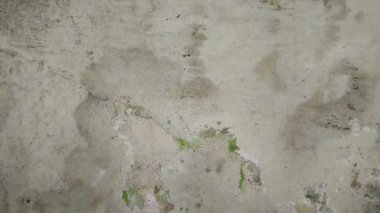 Yağmur suyu sızıntısı nedeniyle evin duvarları nemli.