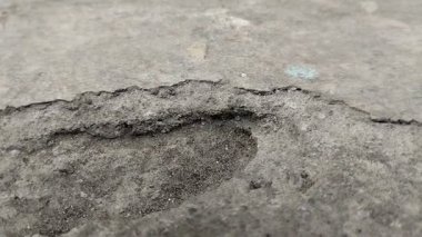 Beton yüzeyler soyuluyor ya da dalgalanıyor. aşırı hava koşulları nedeniyle