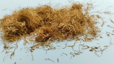 Beyaz arka planda kurumuş tütün yığını. Tütün, yaprakları sigara için hammadde olarak yaygın olarak kullanılan bir bitkidir.