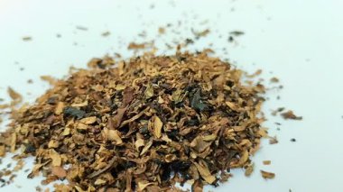 Beyaz arka planda kurumuş tütün yığını. Tütün, yaprakları sigara için hammadde olarak yaygın olarak kullanılan bir bitkidir..