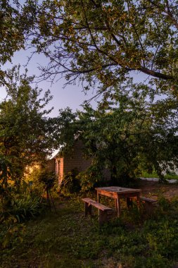 Akşamları ormanda ağaç dalları olan terk edilmiş bir ev.