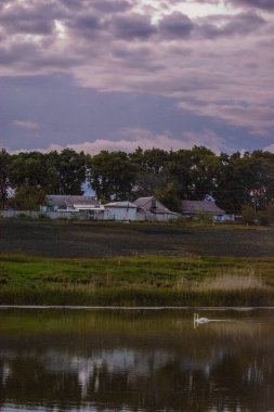 Nehir ve ağaçlarla dolu güzel bir manzara