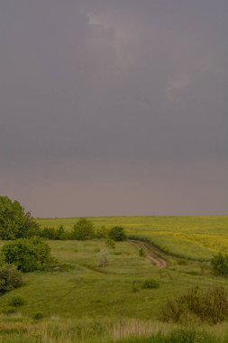 Yeşil çimenlerle ve bulutlu gökyüzüyle güzel bir manzara.
