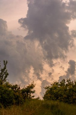 Ormanın üzerinde güzel bir gün batımı