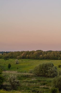 Çiçeklerle, ağaçlarla ve otlarla dolu bir yaz manzarası