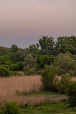 Gölün üzerinde yaz gün batımı