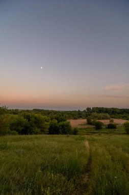 Tarlada gün batımı