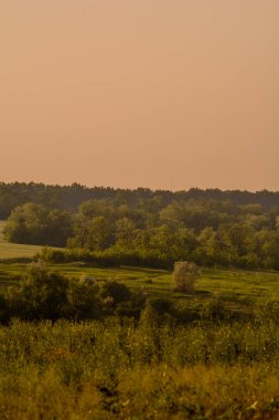 Kırsal alanda güzel bir manzara.