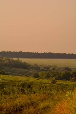 Sahada güzel gün batımı