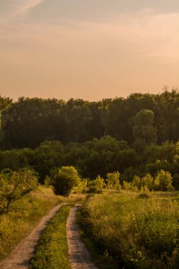 gün batımında kırsal kesimde yol