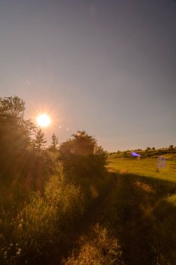 Ormanda güzel bir gün batımı
