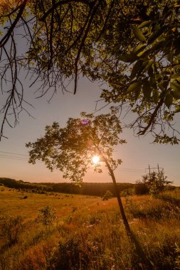 Ormanda güzel bir gün batımı