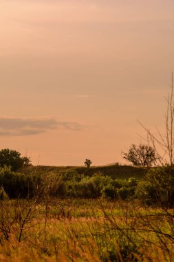 Bulutlu gökyüzü ile güzel bir tarla görüntüsü