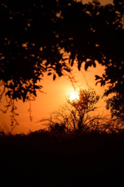 Dağlarda gün batımı