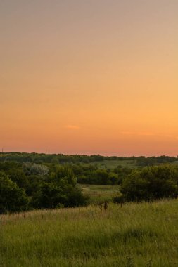 Günbatımı Prairie