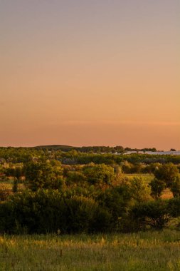 Gün batımında çimen tarlasının güzel bir görüntüsü.